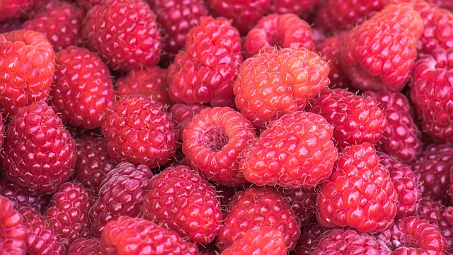 Himbeeren