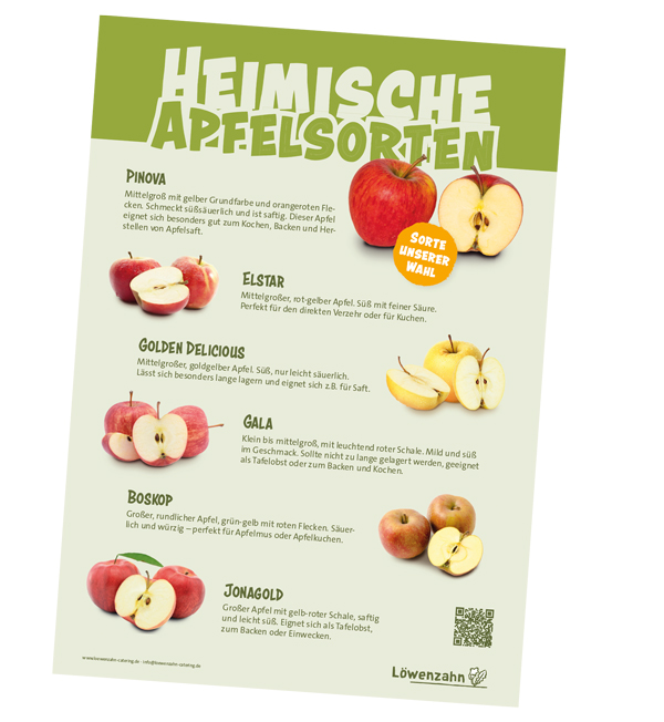 Poster über Heimische Apfelsorten, abgebildet sind Pinova, Elstar , Golden Delicious und weitere