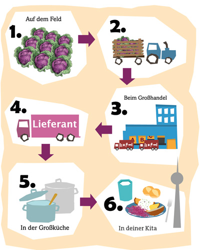 Schaubild: Der Rotkohl auf dem Feld wird vom Bauern geerntet, kommt zum Großhandel und wird dann in die Großküche zum Kochen geliefert. Das fertige Essen kommt dann zu dir in die Kita.