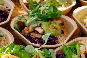 Löwenzahn News Sommer 2019