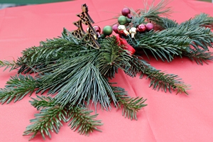 Löwenzahn News Winter 2019/2020